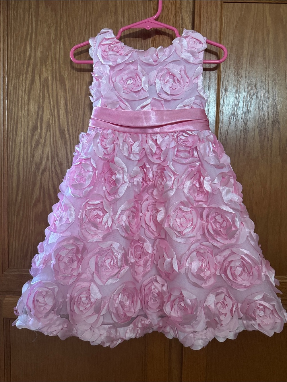 Rare Editions Girls Pink Floral Rose Appliqué Party Dress